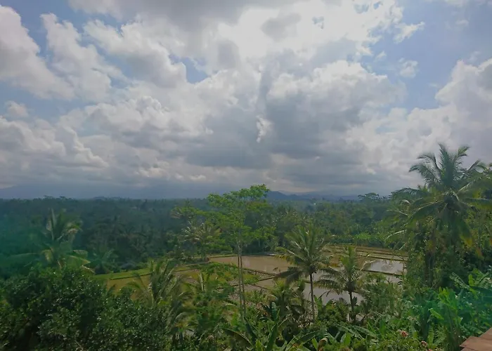 Step Ubud Mountain View